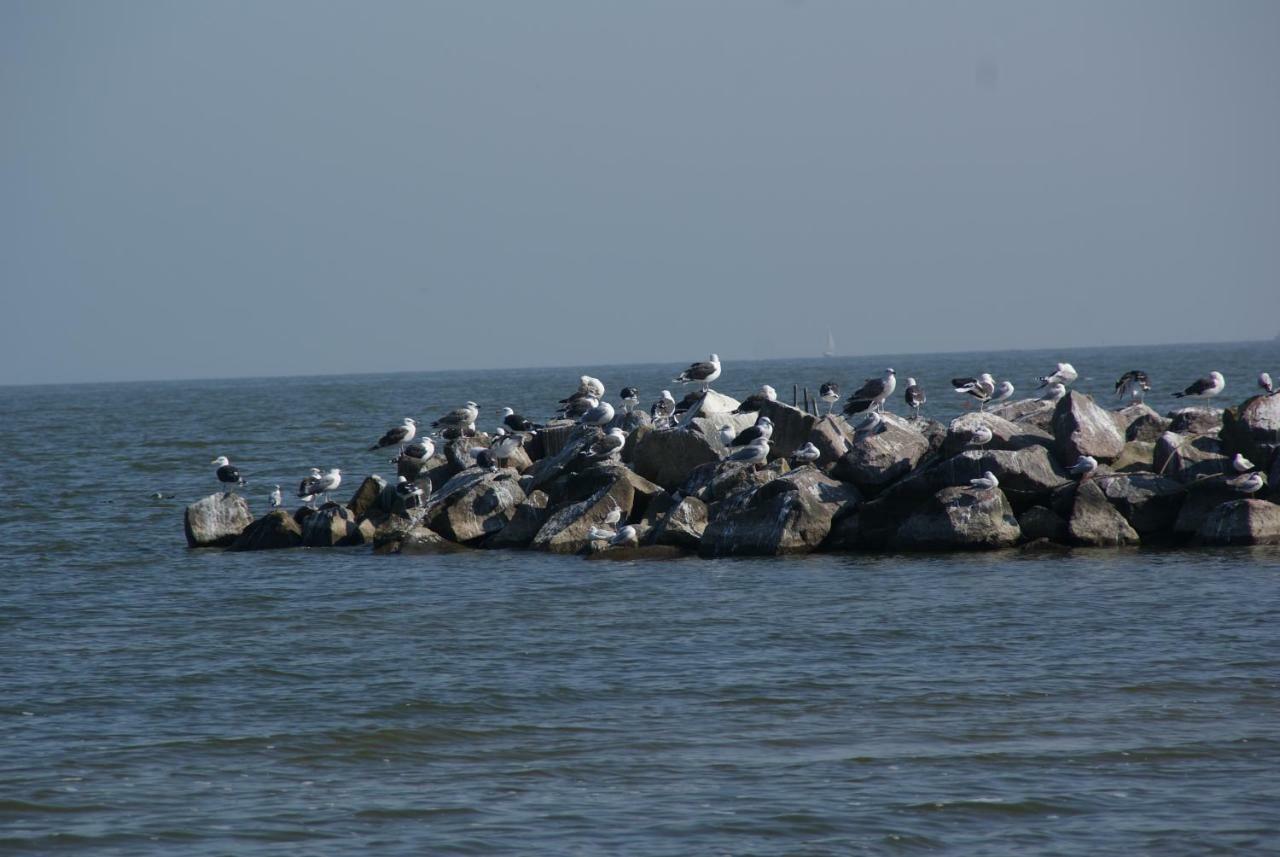Strandgut Ueckermunde Bagian luar foto